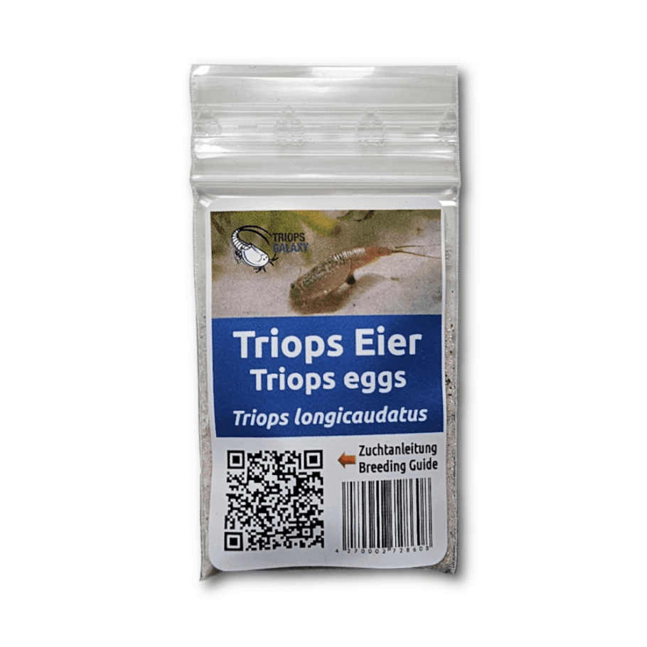 Triops longicaudatus – Triops eggs, egg-sand mixture