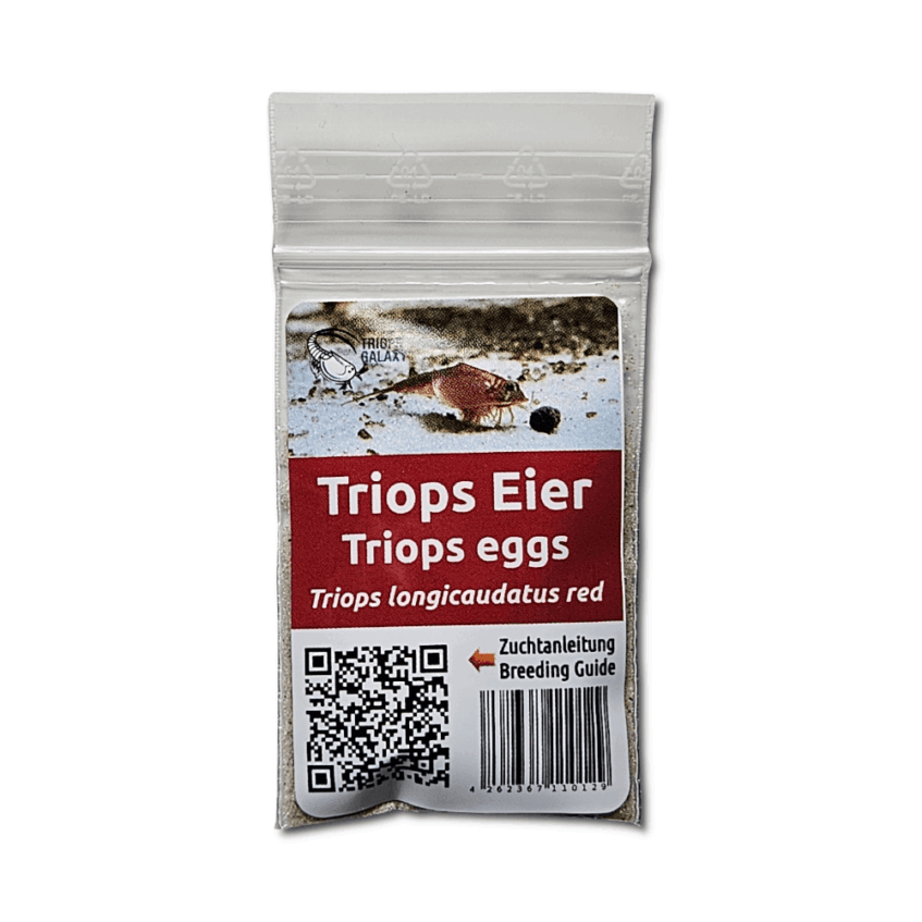 🏅 Triops longicaudatus Red – Urzeitkrebse-Eier, Eier-Sand-Gemisch 🦐