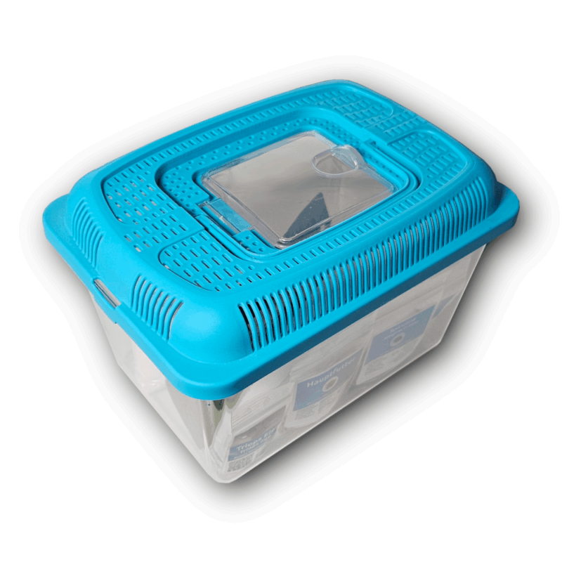 🏅 🏅 Triops longicaudatus - Set de crabes préhistoriques 🦐