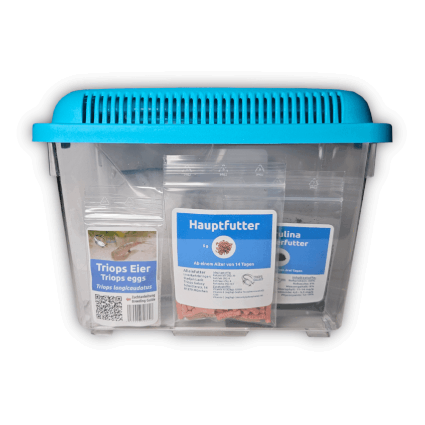 Alternative view of Triops longicaudatus - Triops set mini