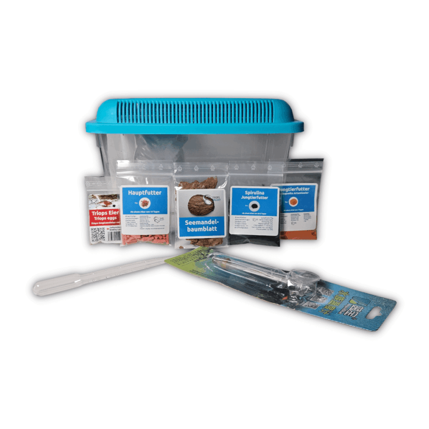 Alternative view of 🏅 🏅 Triops longicaudatus Red – Urzeitkrebse-Set 🦐