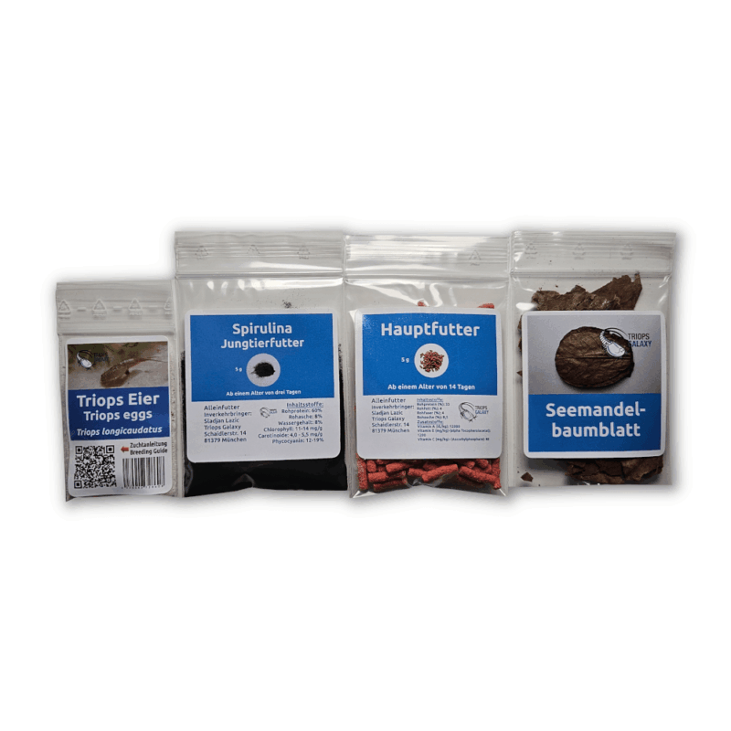 Triops longicaudatus – Starterpack - Eier einzeln abgezählt