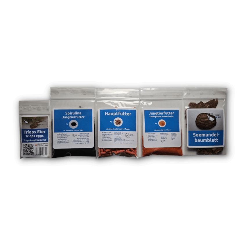 Triops longicaudatus - Triops starter pack maxi