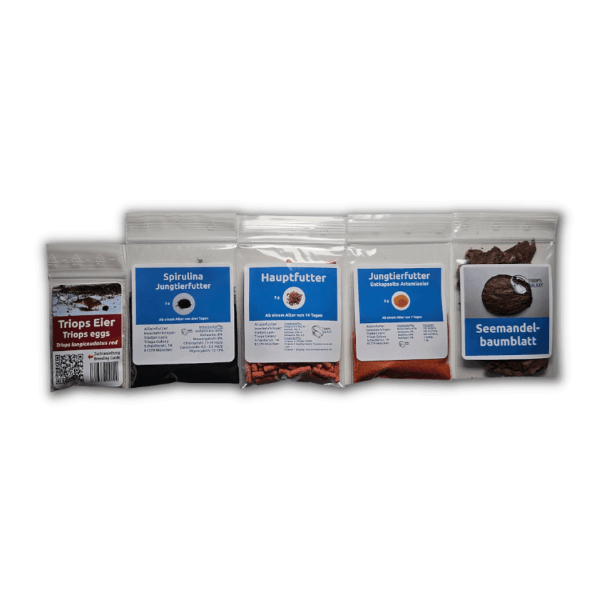 Triops longicaudatus Red - Triops starter pack red maxi