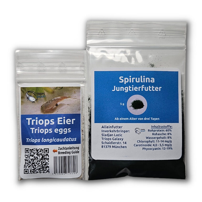Triops longicaudatus - Triops starter pack mini