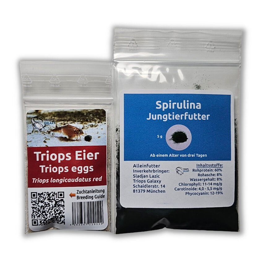 Triops longicaudatus Red - Triops starter pack red mini
