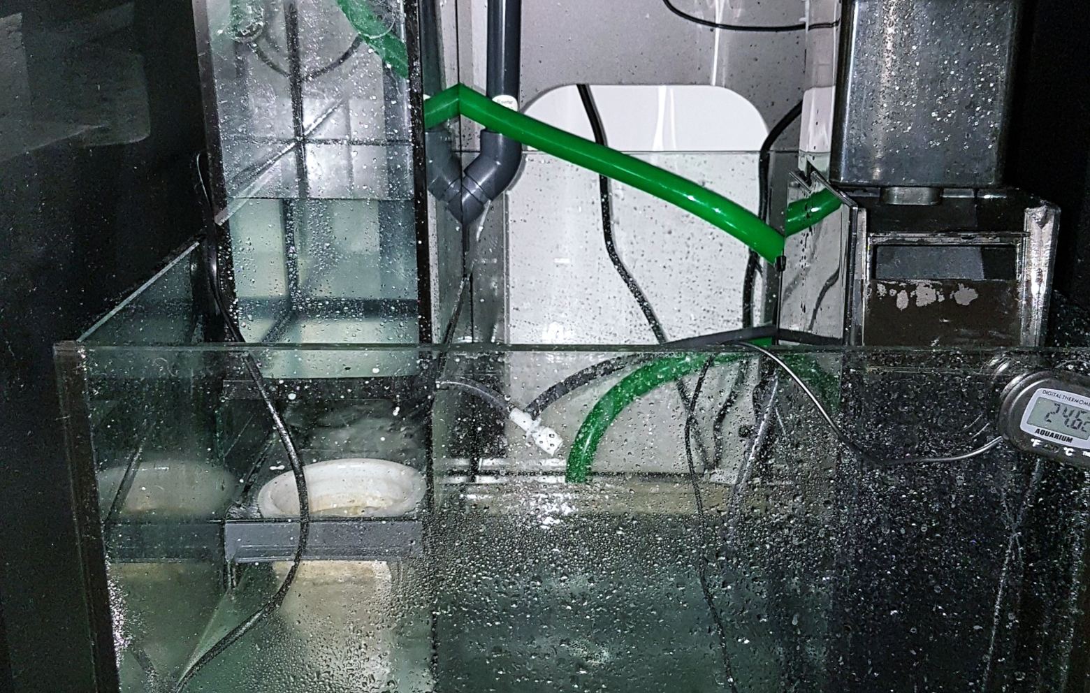 AquariumFilter Ratgeber zur Aquarienfiltern Triops Galaxy