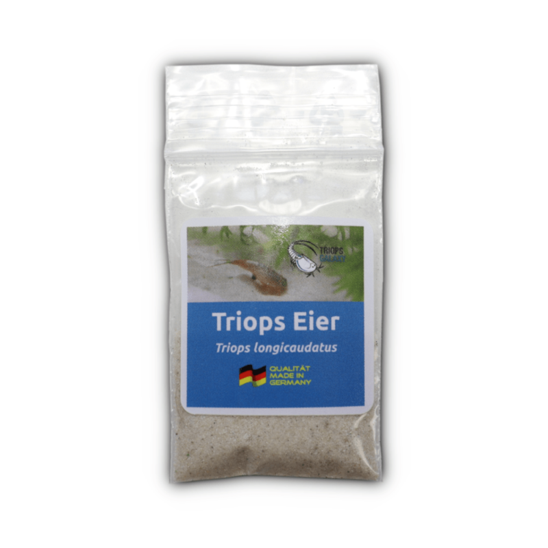 🏅 Triops longicaudatus – Urzeitkrebse-Eier, Eier-Sand-Gemisch 🦐