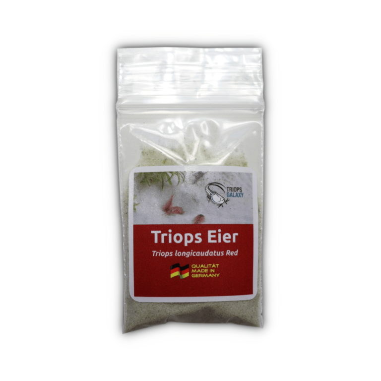 Was sind Triops (Urzeitkrebse)? Ratgeber Triops Galaxy