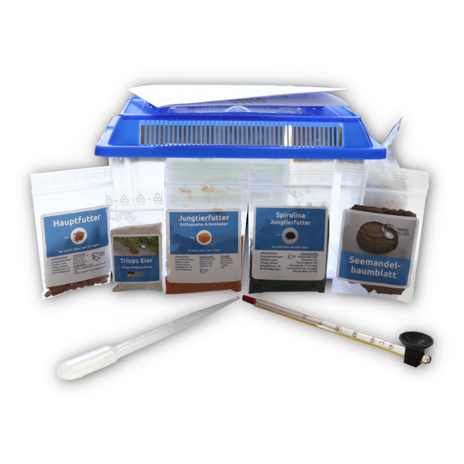 🏅 🏅 Triops longicaudatus - Set de crabes préhistoriques 🦐 – Image 2